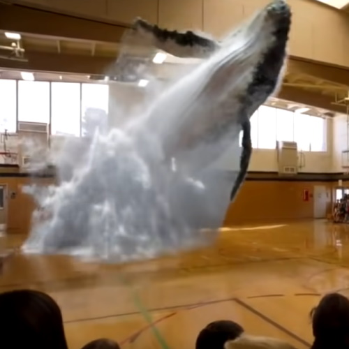 我们多久才能在教室里看到鲸鱼?